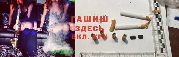 тгк Новозыбков
