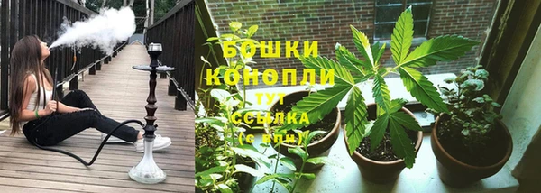 тгк Новозыбков