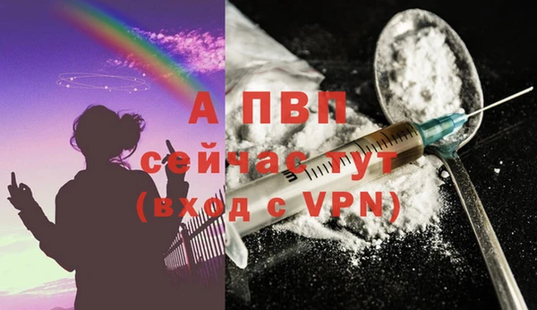 тгк Новозыбков