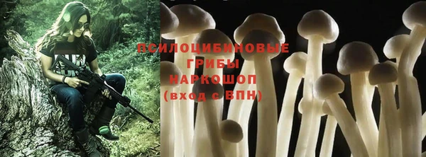 PSILOCYBIN Новодвинск