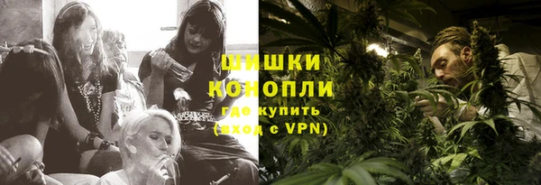 тгк Новозыбков